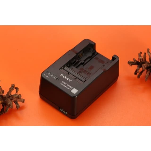 Charger Sony ACC BC-QM1 Unit Only A376 product photo from Garasi Kamera Official